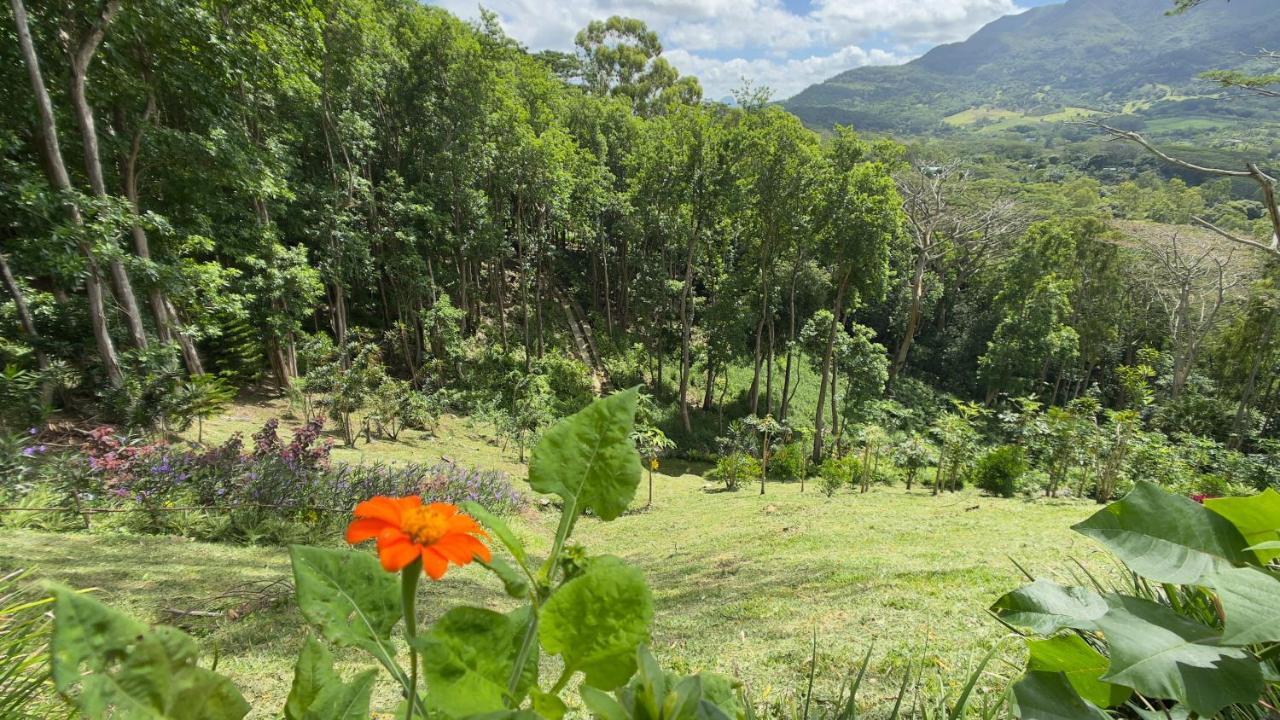 Green Cottage Chamarel Exterior photo